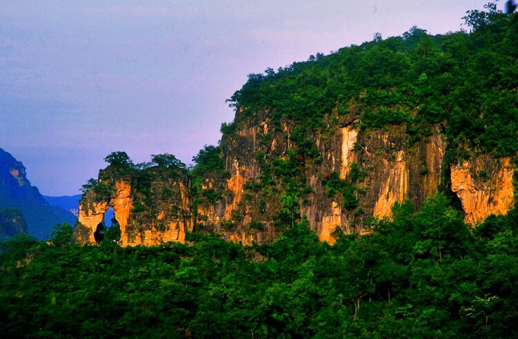 2020 �й����λ����